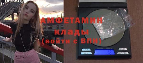 индика Балабаново