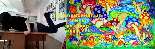 индика Балабаново