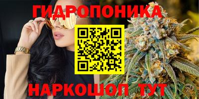 гидропоника Беслан