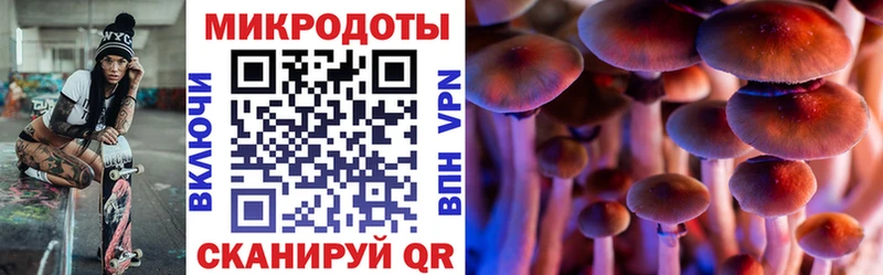 Псилоцибиновые грибы GOLDEN TEACHER  Видное 