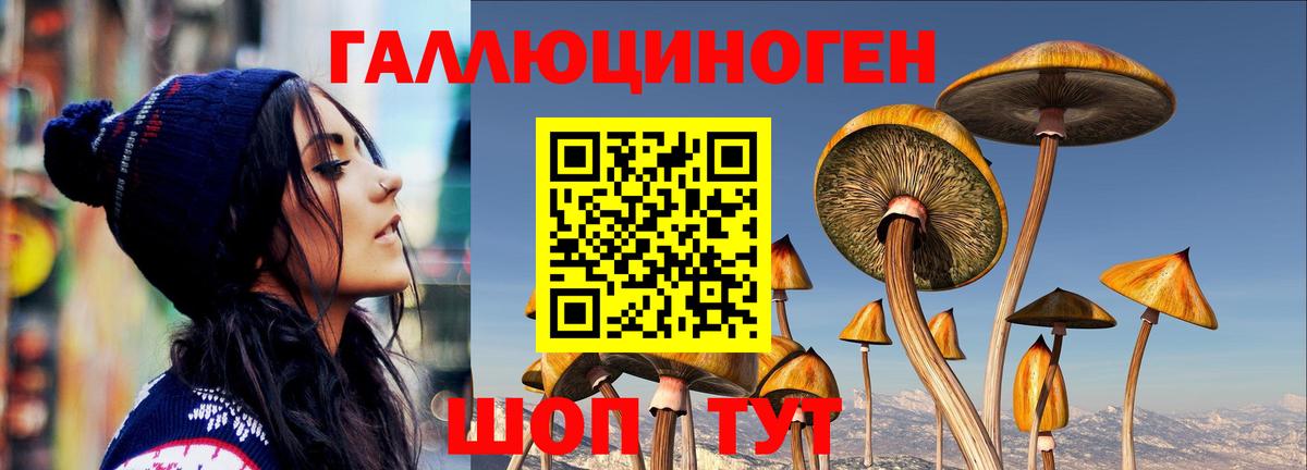 Галлюциногенные грибы мухоморы  Псилоцибиновые грибы Psilocybe  Видное 